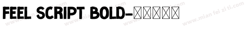 Feel Script Bold字体转换